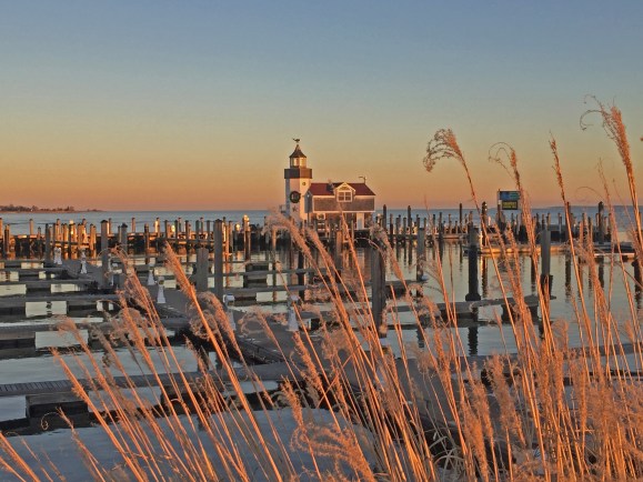 Photo Nov 24, 4 07 31 PM.jpg